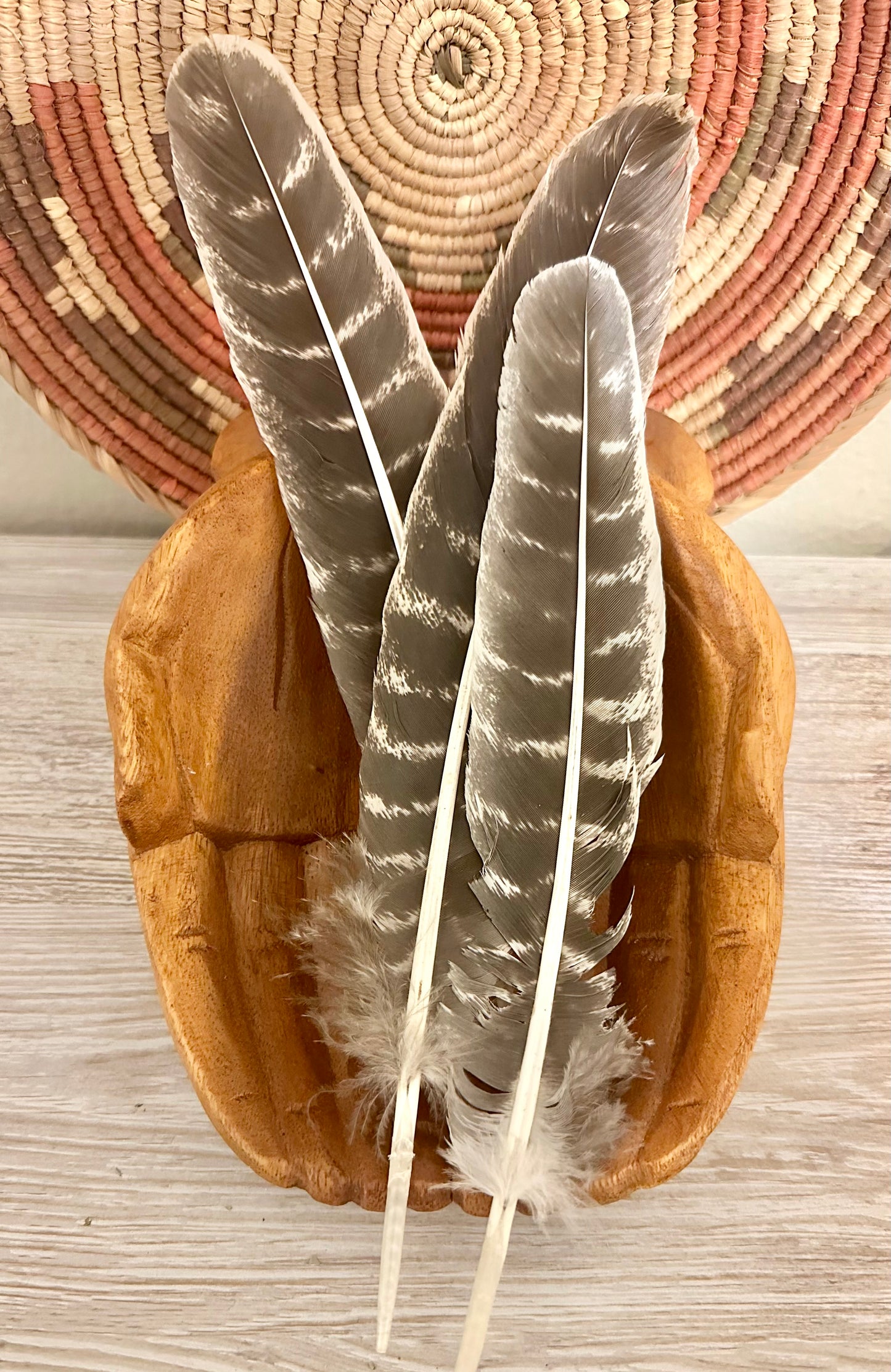 Turkey Smudging Feather – 8–9” Naturally Shed