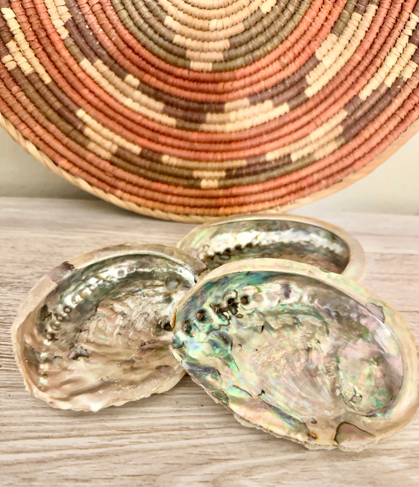 Abalone Shell Smudging Bowl