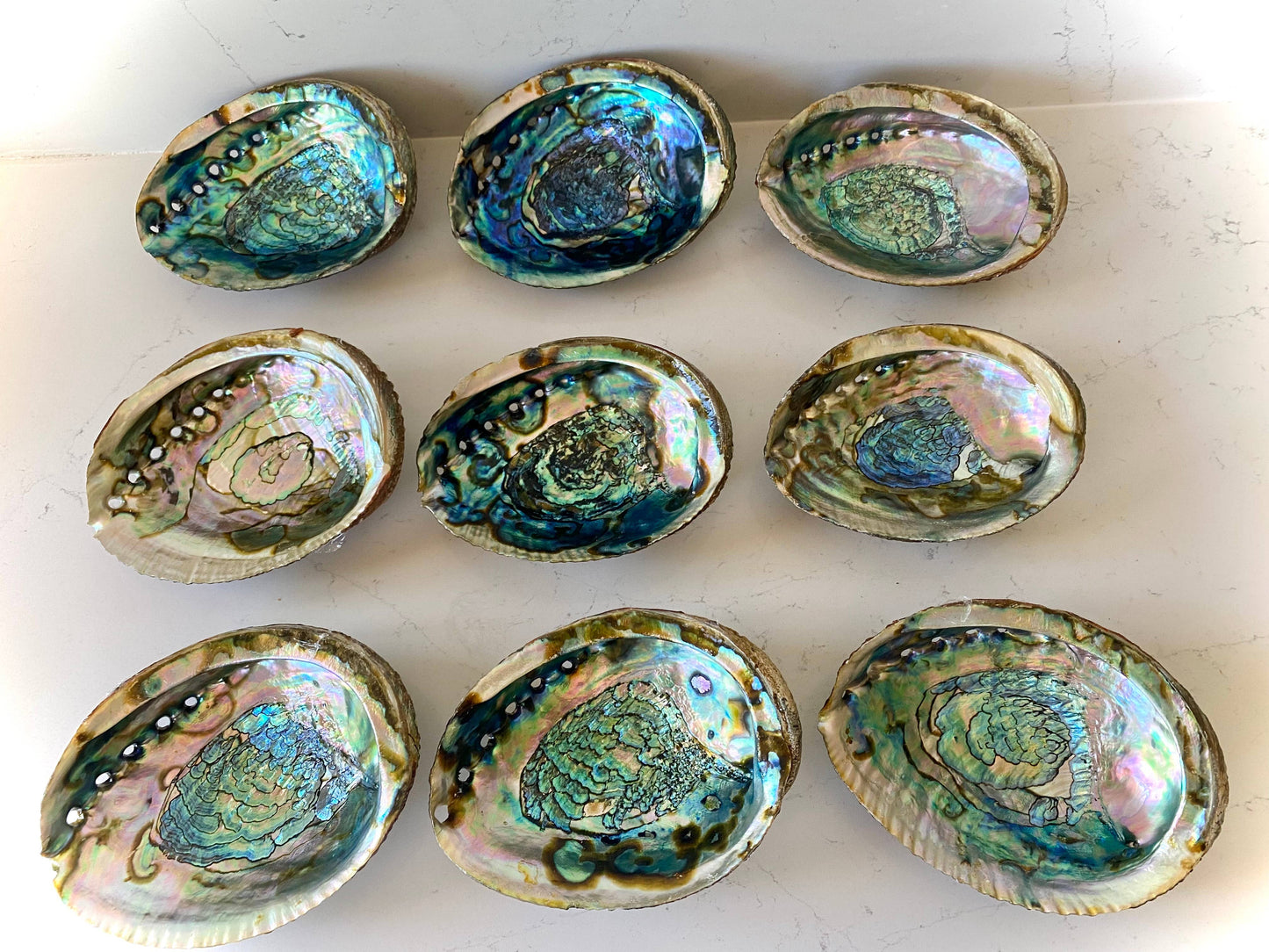 Abalone Shell Smudging Bowl